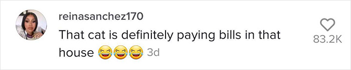 TikTok Of A Cat Having A Spa Day With Owner Goes Viral And Is Watched Over 60 Million Times