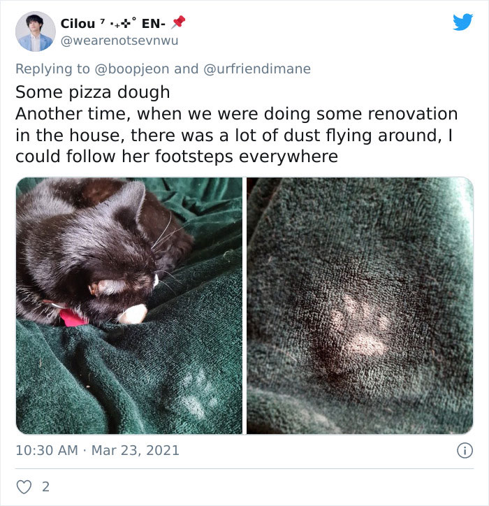 Crime-Criminal-Pets-Crimescene