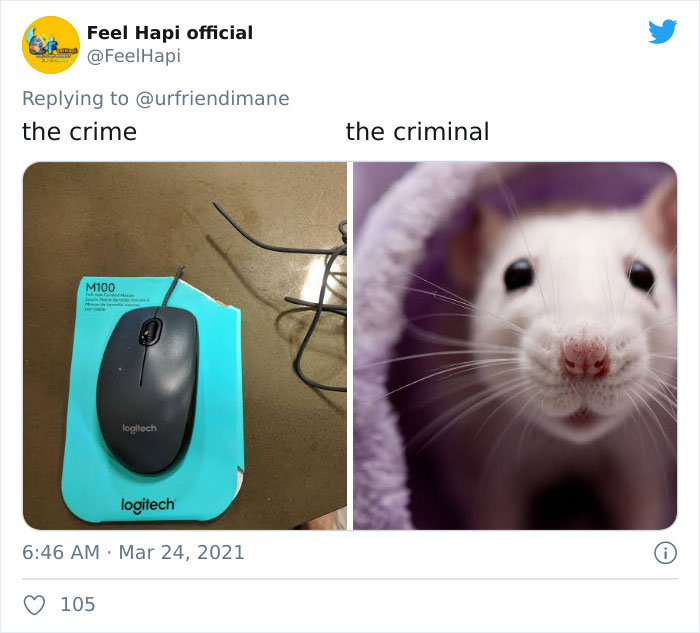 Crime-Criminal-Pets-Crimescene
