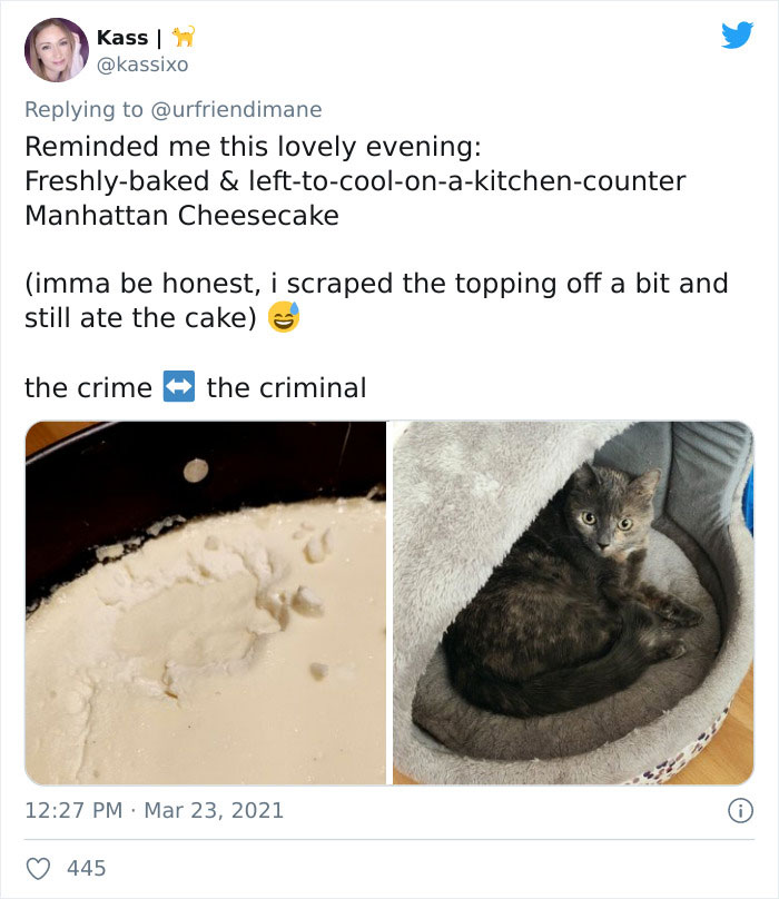 Crime-Criminal-Pets-Crimescene