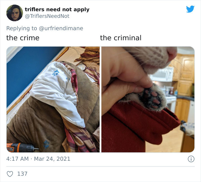 Crime-Criminal-Pets-Crimescene