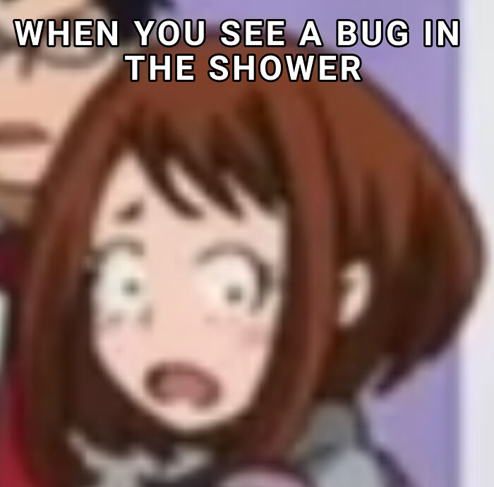 Bug