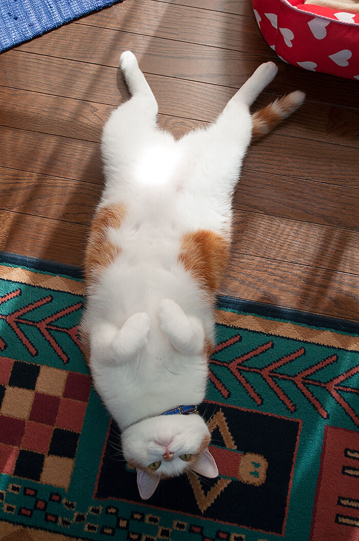 Move Along. Nothing To See Here.