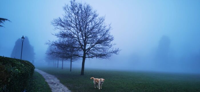 He's Hunting For Our Dinner😜