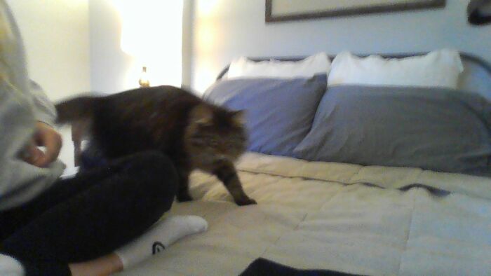 Her Name Is Cricket :)) She Go Zoom