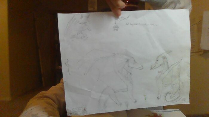 Ship I Drew. Qinter (Or Quinter)