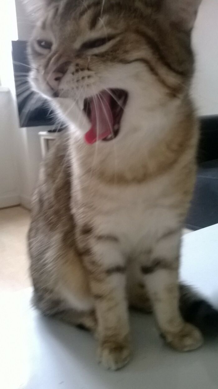 Keoni Wants His Breakfast Now