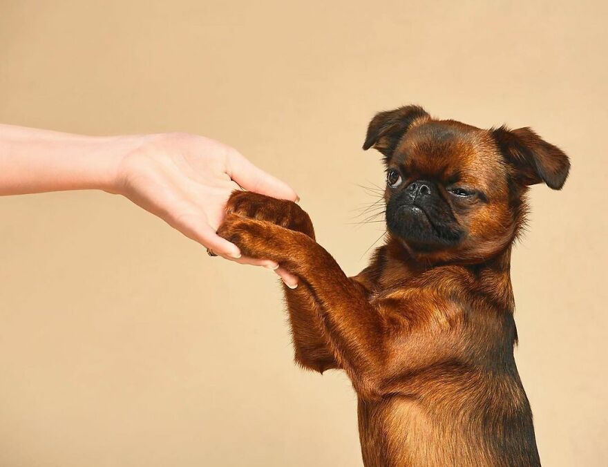 Trust Is A Basis For Any Relationship!