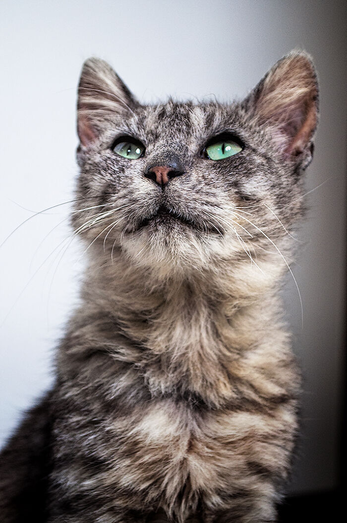 We Rescued Min-Min, Who Turned Out To Be The Most Lovely Little Girl You Could Imagine