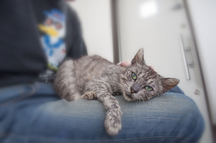 We Rescued Min-Min, Who Turned Out To Be The Most Lovely Little Girl You Could Imagine We Rescued Min-Min, Who Turned Out To Be The Most Lovely Little Girl You Could Imagine