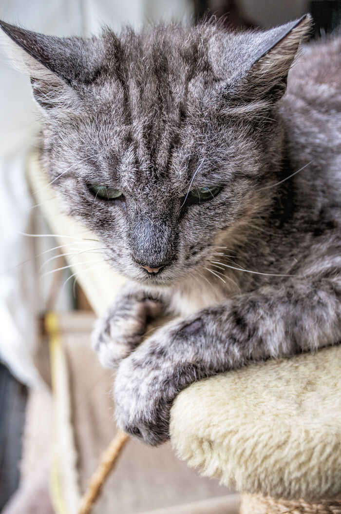 We Rescued Min-Min, Who Turned Out To Be The Most Lovely Little Girl You Could Imagine