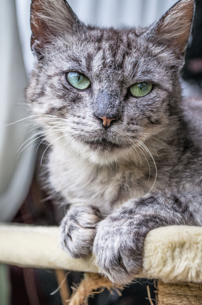 We Rescued Min-Min, Who Turned Out To Be The Most Lovely Little Girl You Could Imagine