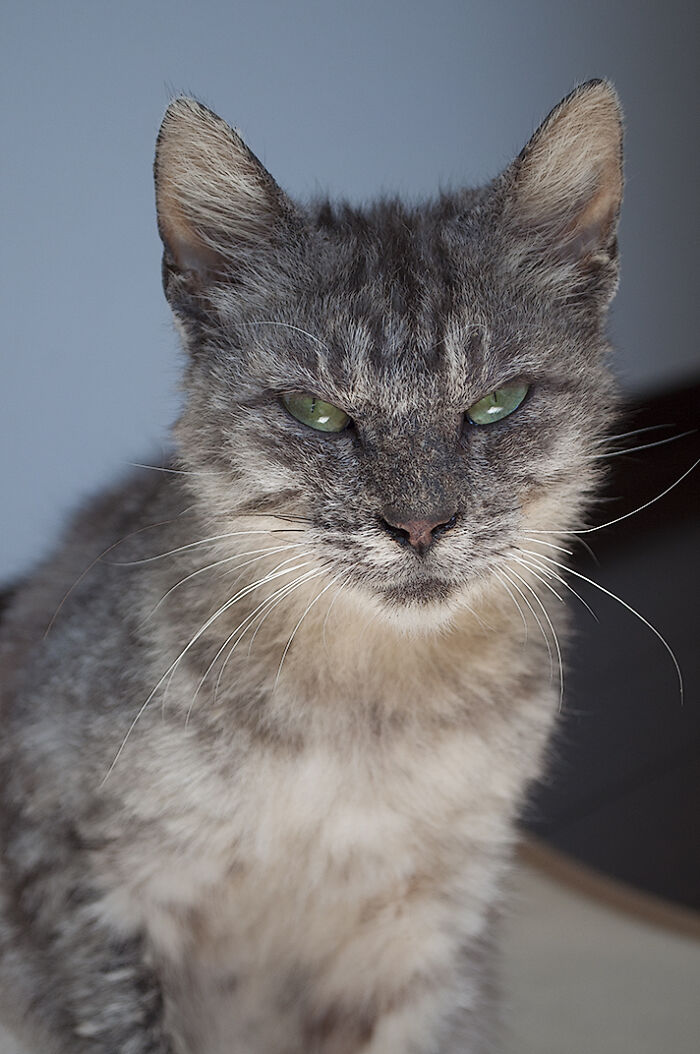 We Rescued Min-Min, Who Turned Out To Be The Most Lovely Little Girl You Could Imagine