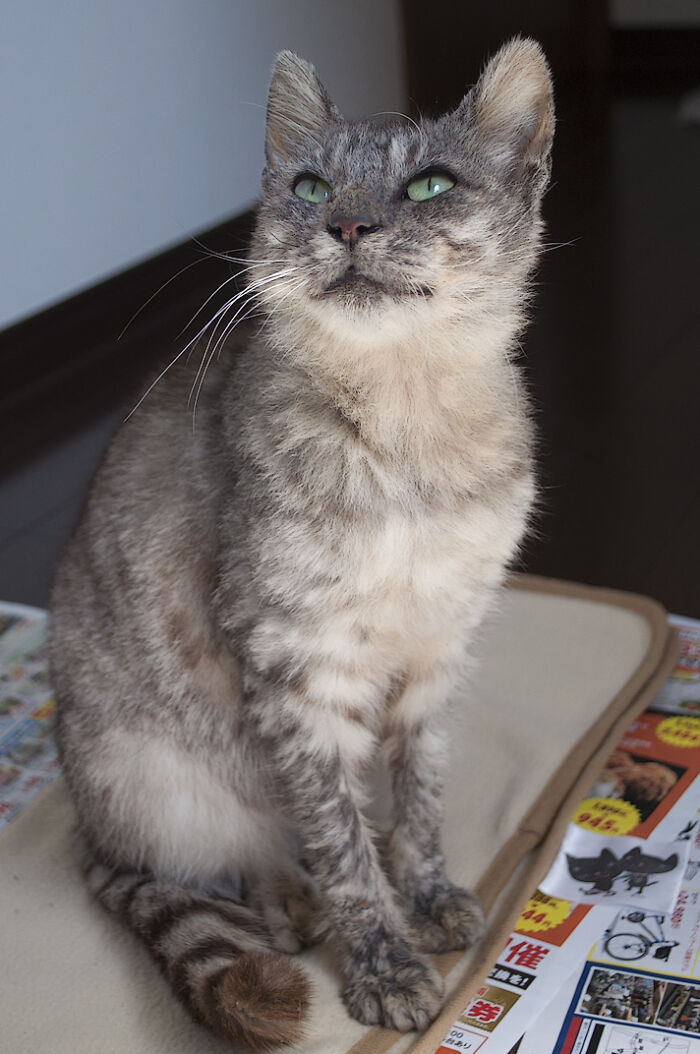 We Rescued Min-Min, Who Turned Out To Be The Most Lovely Little Girl You Could Imagine We Rescued Min-Min, Who Turned Out To Be The Most Lovely Little Girl You Could Imagine