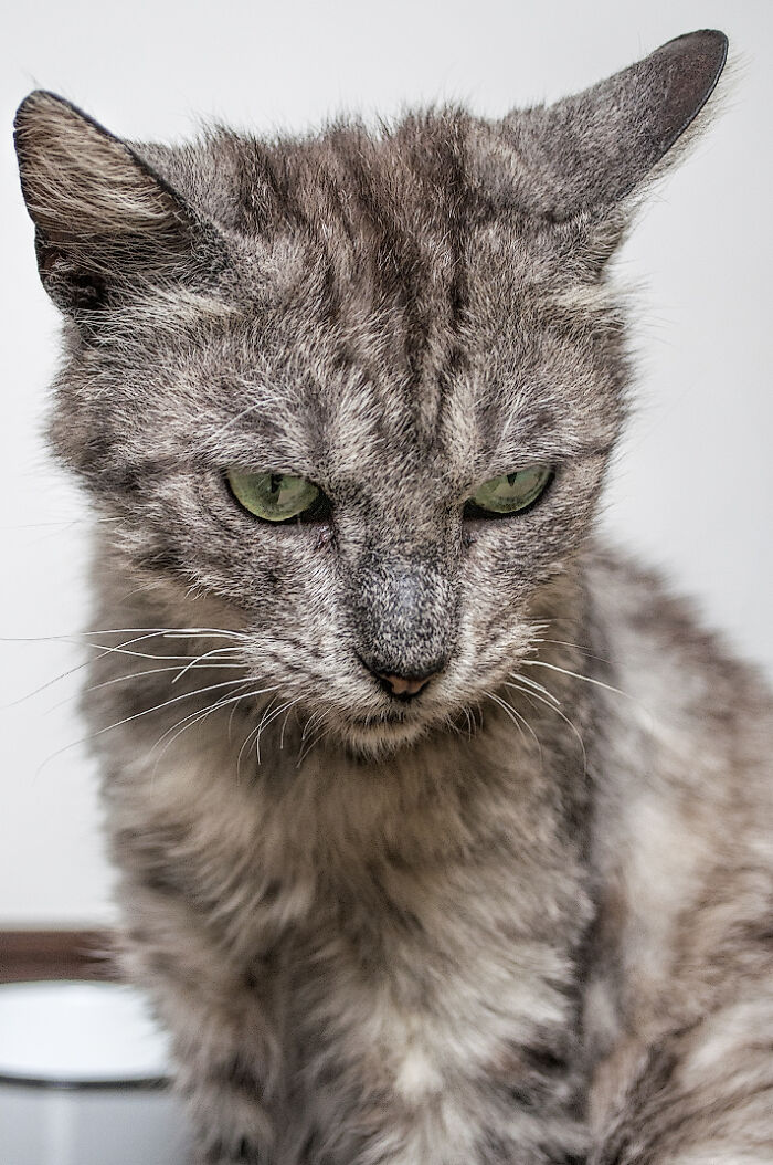 We Rescued Min-Min, Who Turned Out To Be The Most Lovely Little Girl You Could Imagine