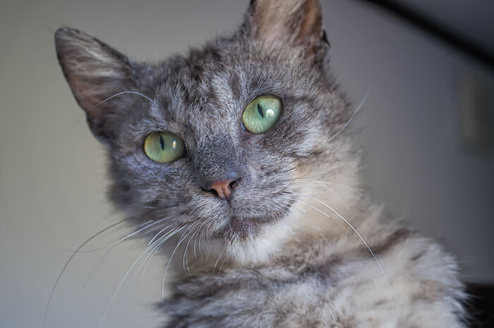 We Rescued Min-Min, Who Turned Out To Be The Most Lovely Little Girl You Could Imagine