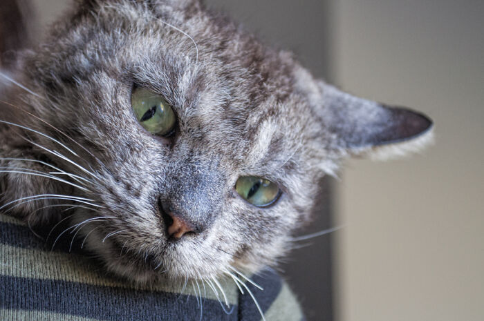 We Rescued Min-Min, Who Turned Out To Be The Most Lovely Little Girl You Could Imagine