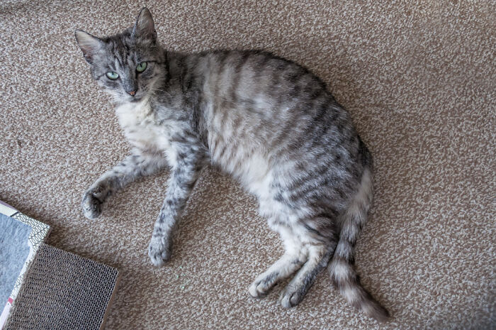 We Rescued Min-Min, Who Turned Out To Be The Most Lovely Little Girl You Could Imagine We Rescued Min-Min, Who Turned Out To Be The Most Lovely Little Girl You Could Imagine