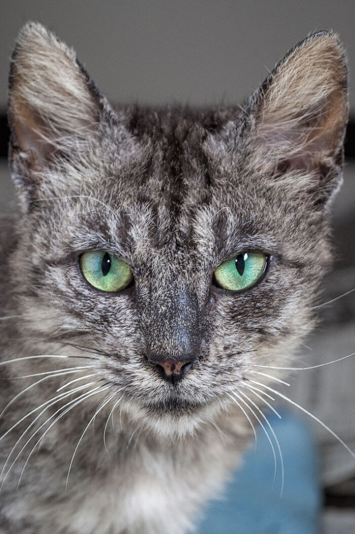 We Rescued Min-Min, Who Turned Out To Be The Most Lovely Little Girl You Could Imagine