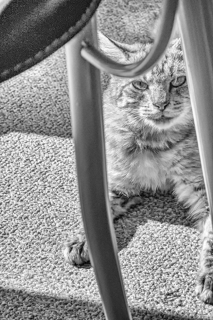 We Rescued Min-Min, Who Turned Out To Be The Most Lovely Little Girl You Could Imagine