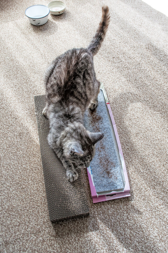 We Rescued Min-Min, Who Turned Out To Be The Most Lovely Little Girl You Could Imagine