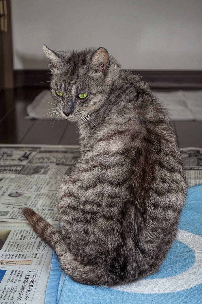 We Rescued Min-Min, Who Turned Out To Be The Most Lovely Little Girl You Could Imagine