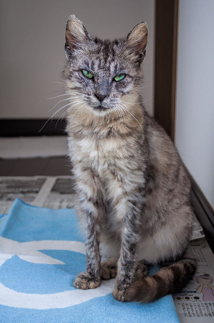 We Rescued Min-Min, Who Turned Out To Be The Most Lovely Little Girl You Could Imagine