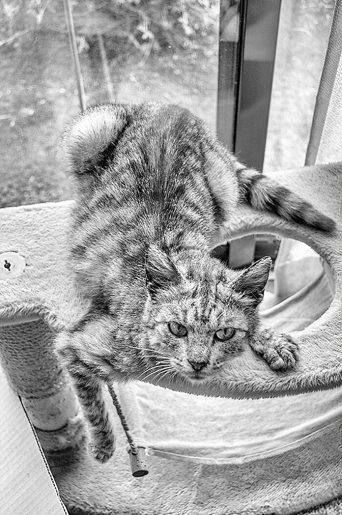 We Rescued Min-Min, Who Turned Out To Be The Most Lovely Little Girl You Could Imagine