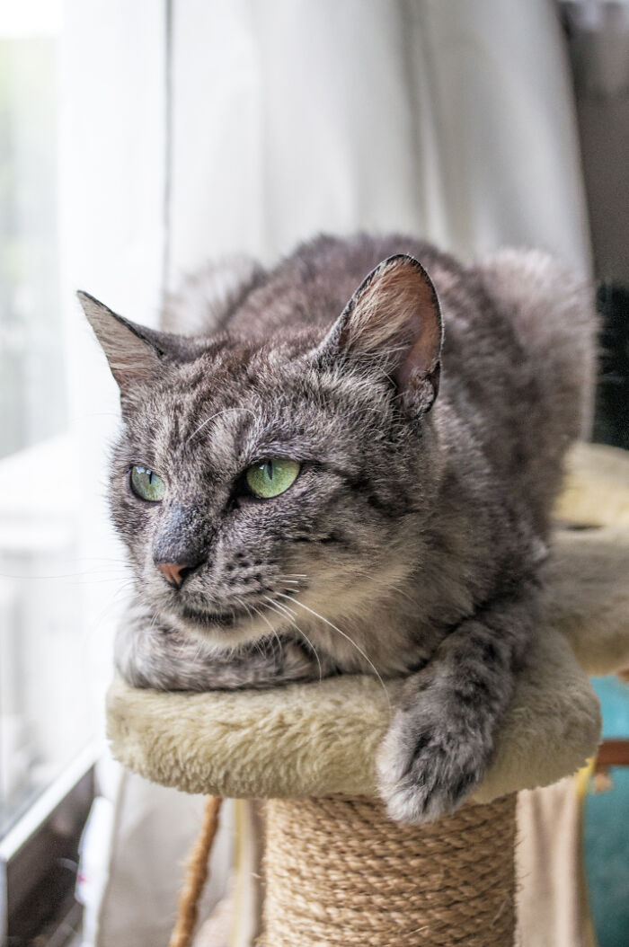 We Rescued Min-Min, Who Turned Out To Be The Most Lovely Little Girl You Could Imagine We Rescued Min-Min, Who Turned Out To Be The Most Lovely Little Girl You Could Imagine