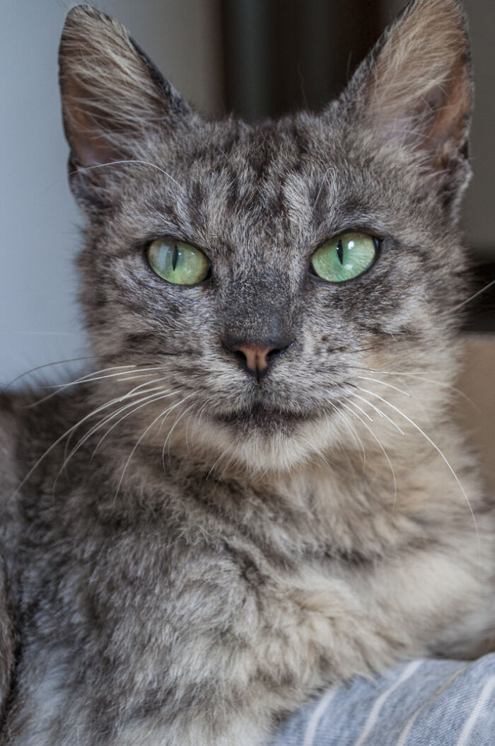 We Rescued Min-Min, Who Turned Out To Be The Most Lovely Little Girl You Could Imagine We Rescued Min-Min, Who Turned Out To Be The Most Lovely Little Girl You Could Imagine