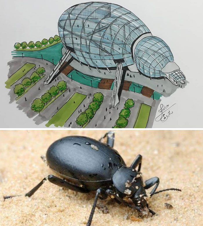 Architecture-Drawings-Everyday-Objects-Transformed-Into-Buildings-Felipe-De-Castro