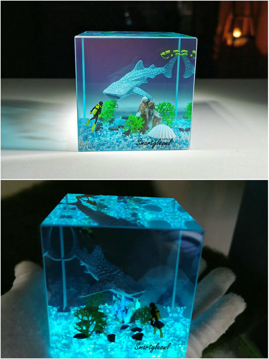 What Is Scuba Diving?