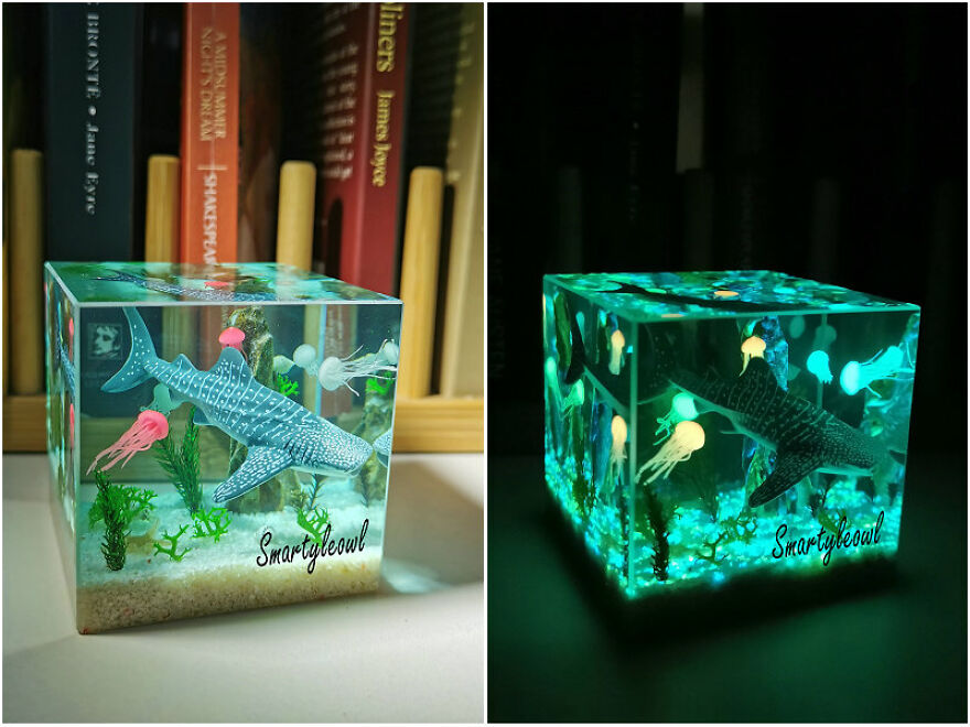 What Is Scuba Diving?