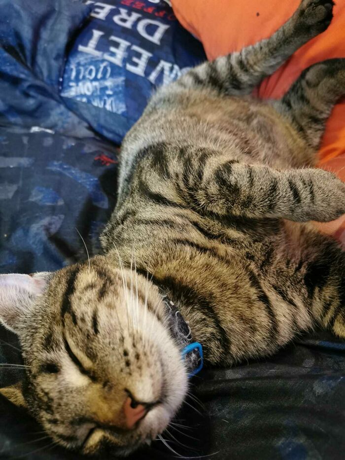 The Face Of Innocence