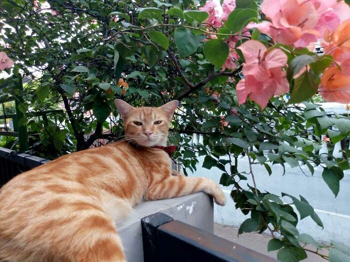 Say Hello To Mischa!