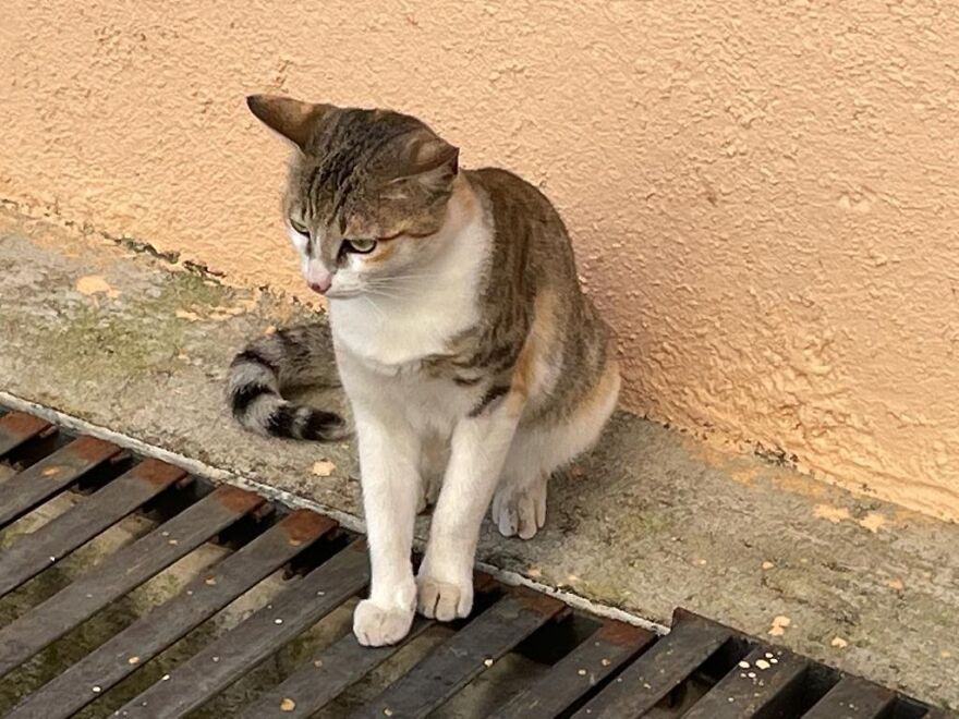 All Hail Her Majesty Queen Spice!