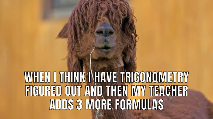 How We All Felt In High School...