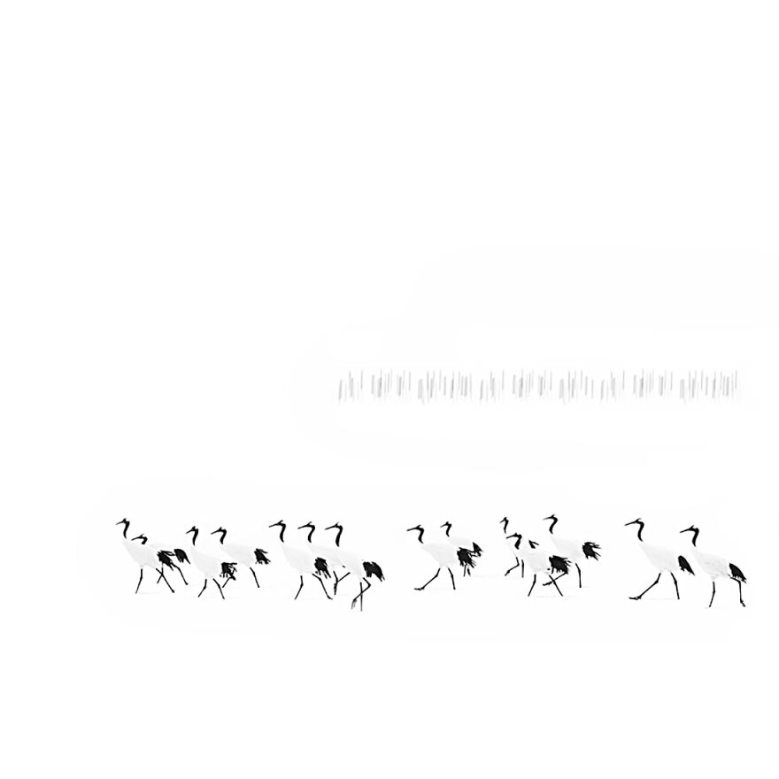 Japanese Minimalism. Aesthetics And Grace