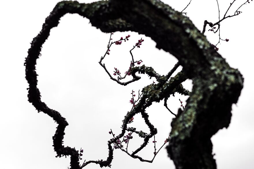 Dance Towards The Sky