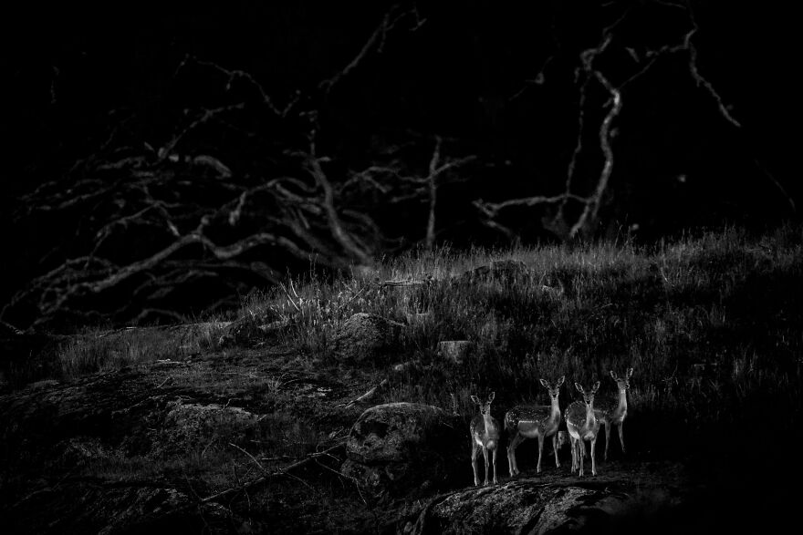 In The Twilight Zone