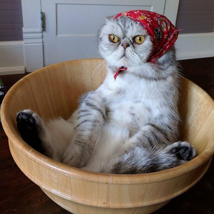 Babushkat In A Bowl