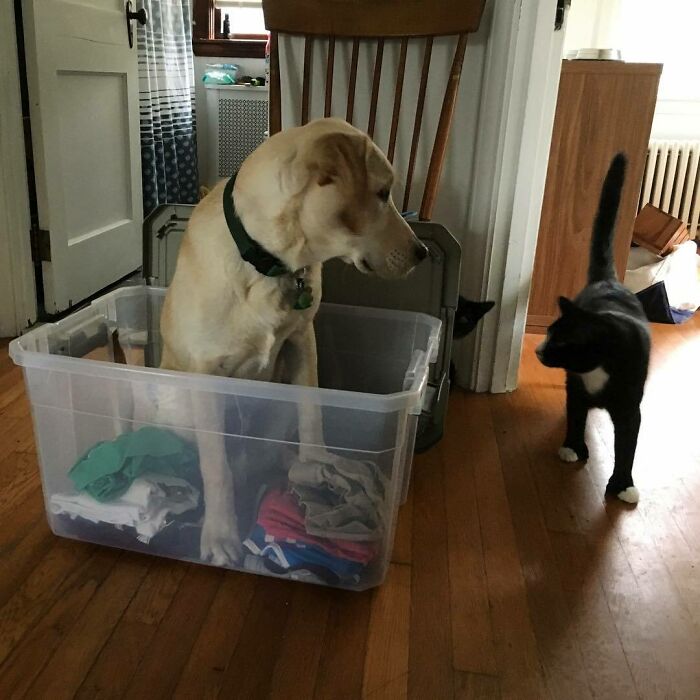 I Didn't Take Your Spot, George. You Left It For Me