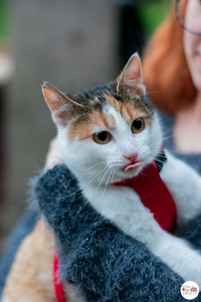 My In-Laws Newly Adopted! She Was In The Shelter For 2 Years And Finally Found Her Forever Home. Meet Jane!