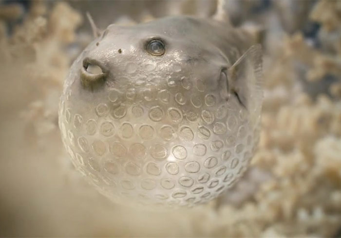 This Heartbreaking Animated Short Shows Plastic Waste Transforming Into Ocean Life