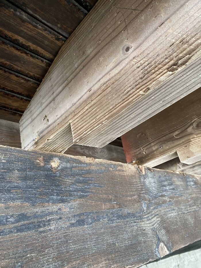 Bizarre-Structural-Inspections-Pics