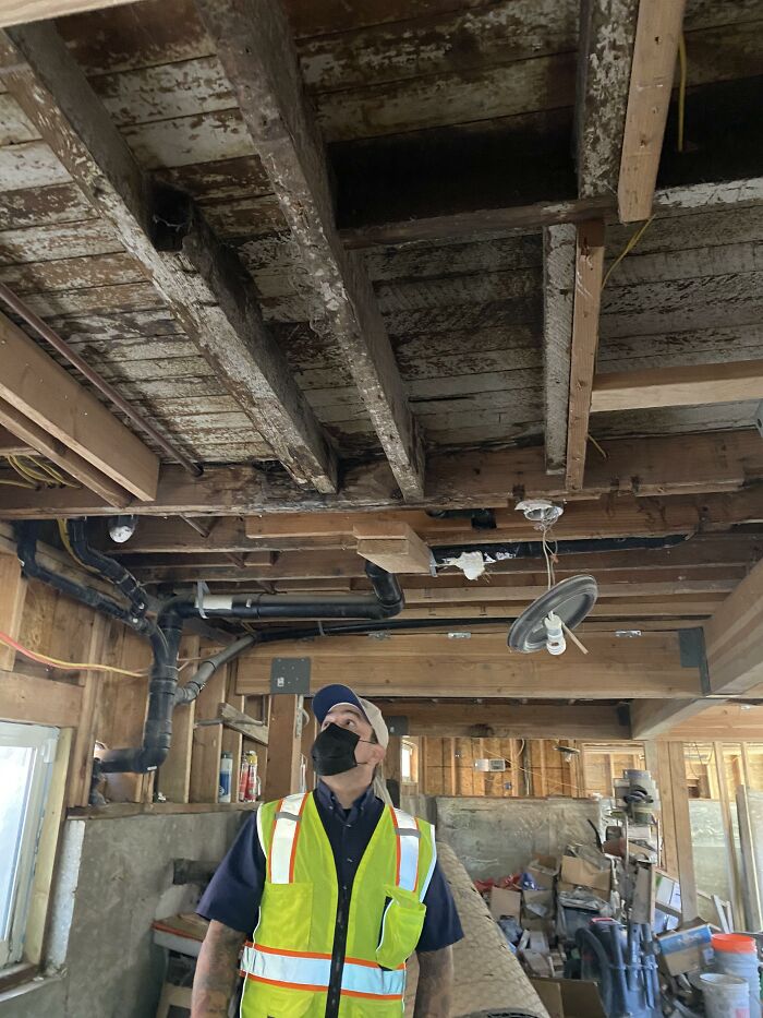 Bizarre-Structural-Inspections-Pics