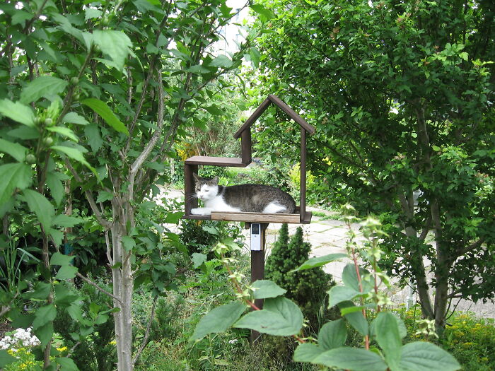 Pretending To Be Your Foods Food Is Very Tiring, Apparently