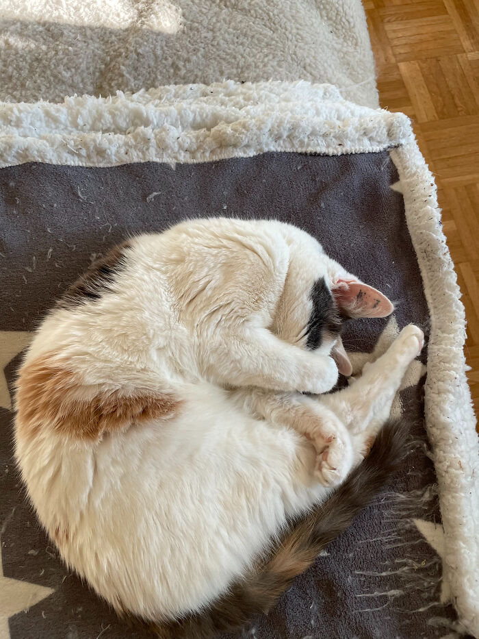 If I Sleep, I See Nothing ;-)