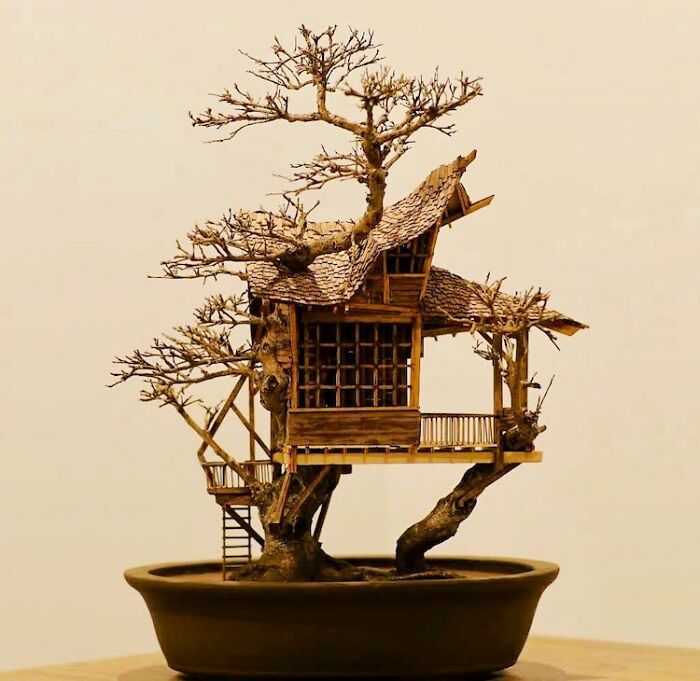 24 Photos Of Tiny Treehouses Handcrafted Within Bonsai Trees By The Late Dave Creek