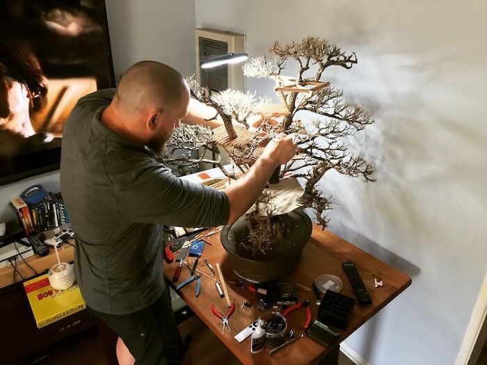 24 Photos Of Tiny Treehouses Handcrafted Within Bonsai Trees By The Late Dave Creek